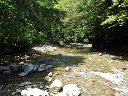 尺イワナハンティング ～長良川水系～